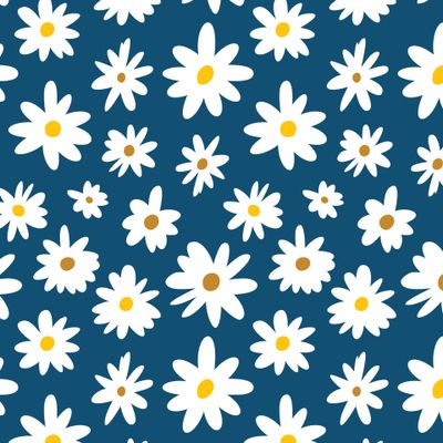 Ромашки Camomile