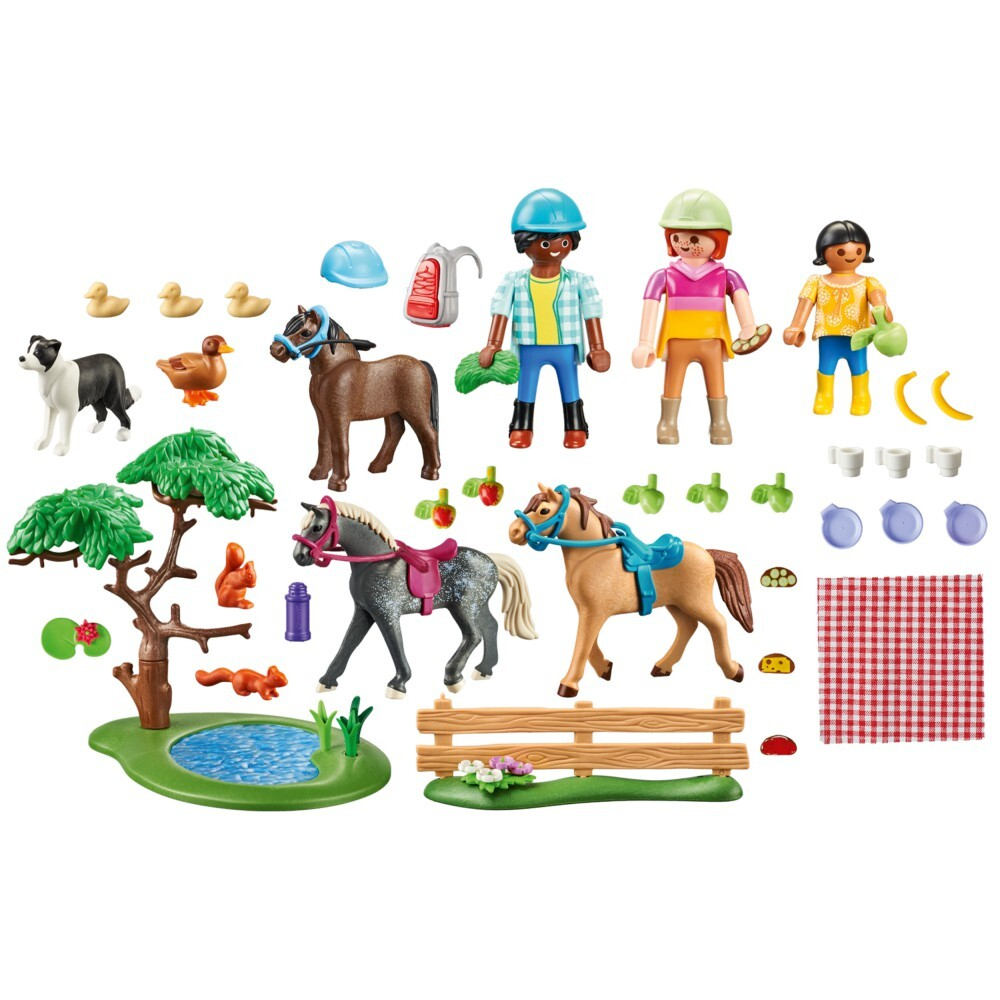 Playmobil - Пикник-тур на лошадях по сельской местности 71239 / артикул   71239  / GTIN 4008789712394