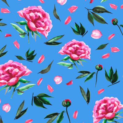 Розовые пионы на голубом фоне