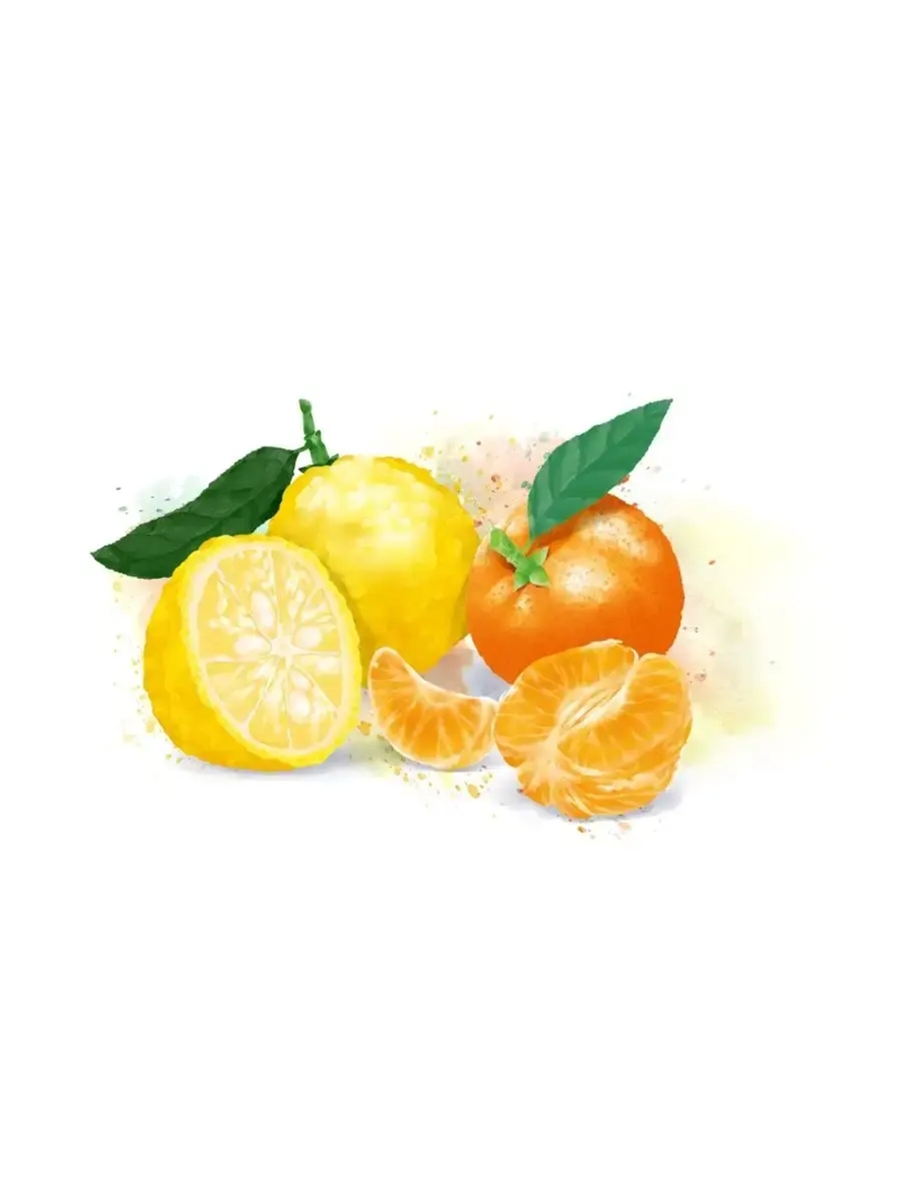 Основа для лимонадов и коктейлей WATSON SAYS Киви - Фейхоа 1кг