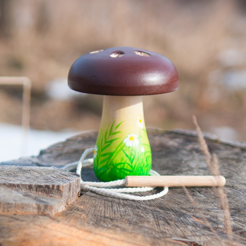 Гриб - шнуровка с нежной зеленью по ножке Леснушки