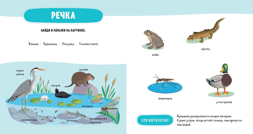 Главная книга малыша. Прогулка по лесу