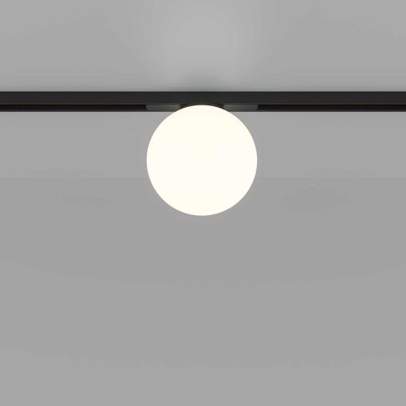 Трековый светильник Maytoni Technical TR177-1-5WTW-B