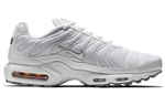Кроссовки Nike Air Max Plus
