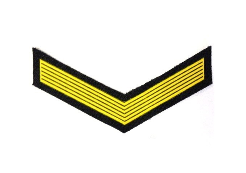 Курсовка пластизол. 1 курс