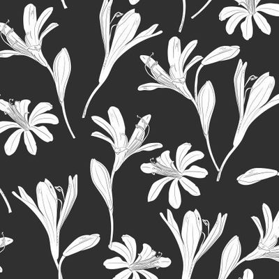 чёрно-белые цветы