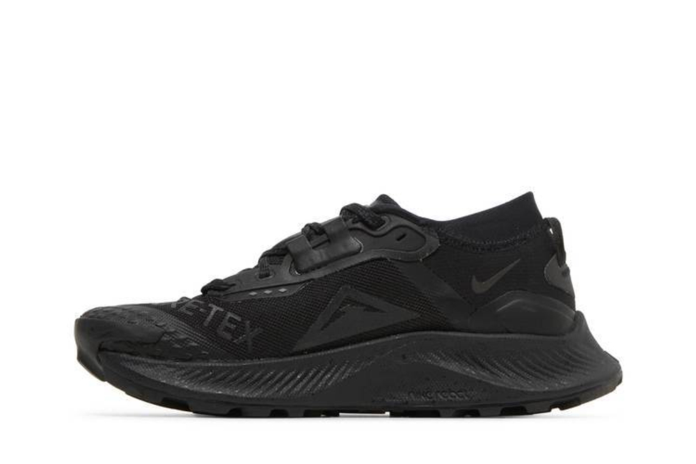 Кроссовки Nike Pegasus Trail 3 Gtx (Женская размерная сетка)