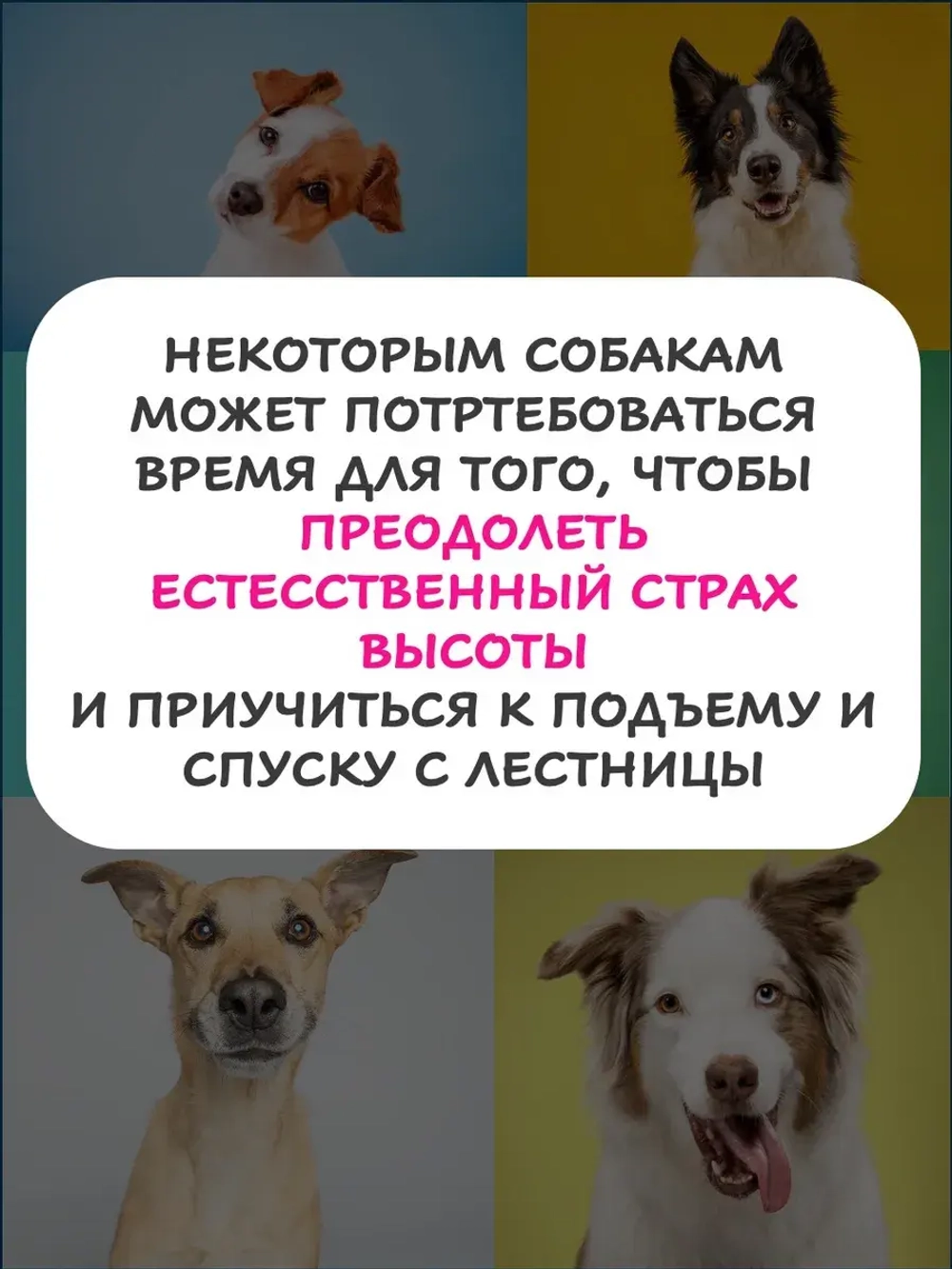 Лестница для собак средних и крупных пород в ванную