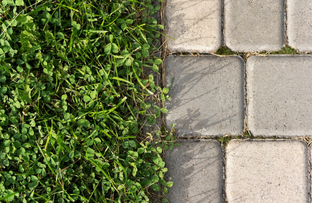 Весенний ремонт дорожек: восстановление покрытий после зимы