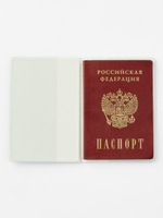 Обложка для паспорта «На дне»