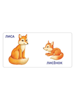 Книжки - картонки. Животные и детёныши