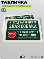 Табличка "Вход запрещен, злая собака" на дверь и забор, для двора, дома, подъезда, 40х30 см, Silver Plane x Айдентика Технолоджи
