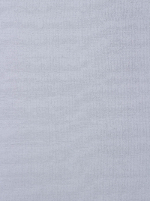 Обои Rasch Wallton 173703