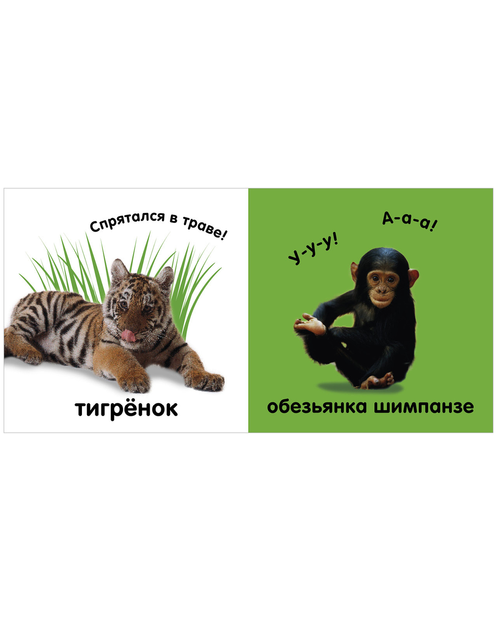 Тактильная книжка. Животные