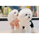 540 Кардиган с оборками "Lovely Puppy Angel"