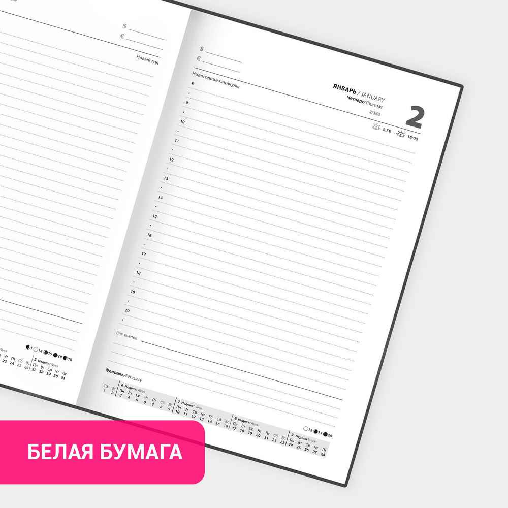 Ежедневник датированный 2025 145х215 мм А5 STAFF ламинированная обложка "Утки" (4 штуки в упаковке)