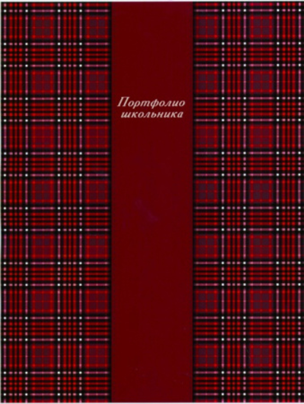 Портфолио школьника "Шотландия бордо", 20 файлов, ФЕНИКС