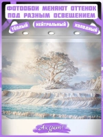 3D Фотообои Барельеф дерево и море