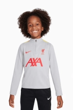 Кофта Nike Liverpool FC 24/25 Academy Pro Junior - серый