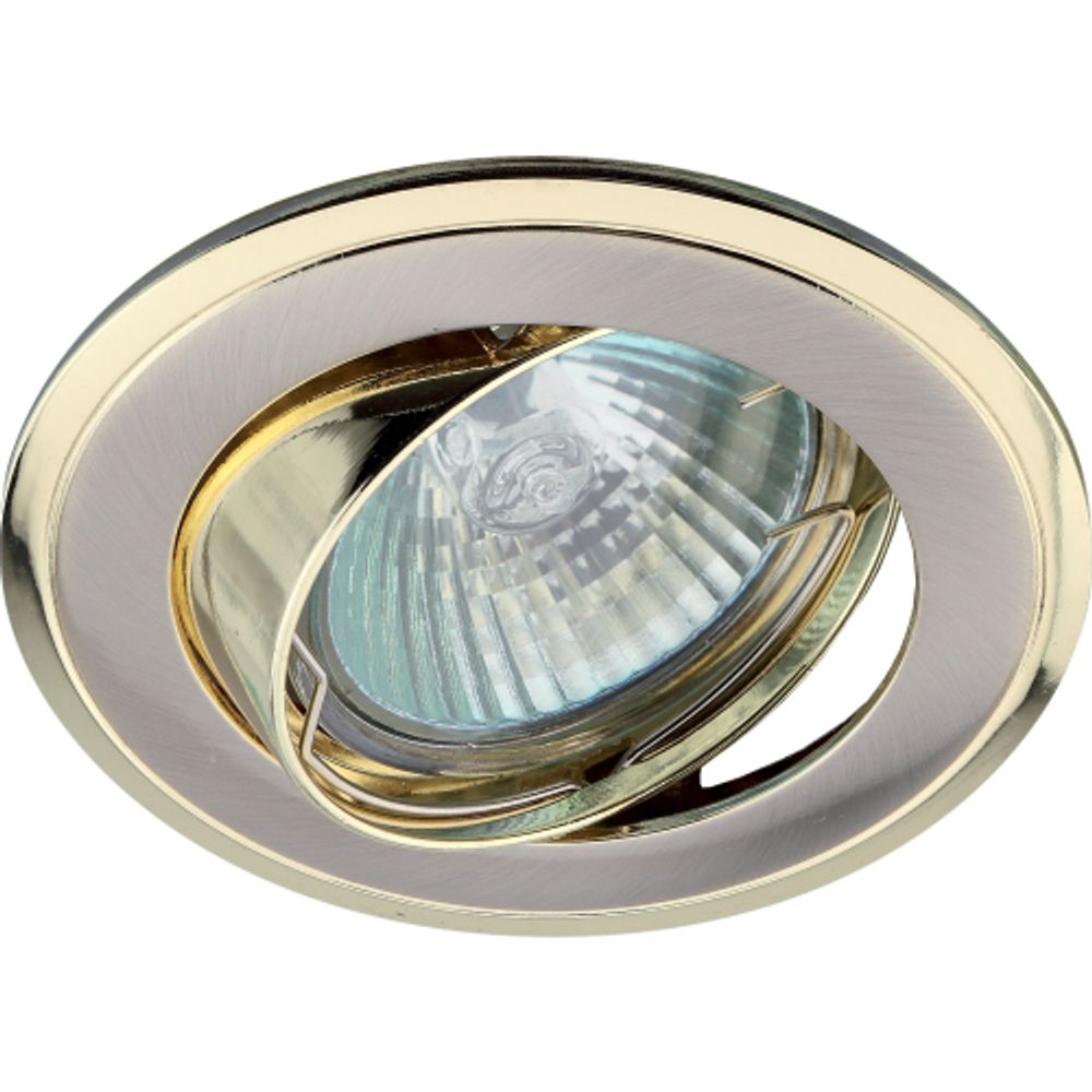 KL22 А SN/G Светильник ЭРА литой пов. двойной контур MR16,12V/220V, 50W сатин никель/золото (100/