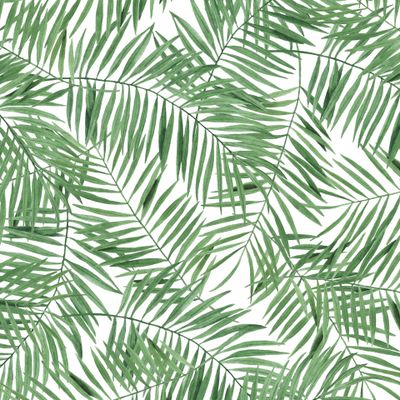 Листья пальмы