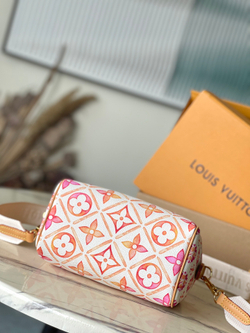 Louis Vuitton Speedy 20