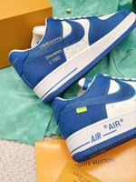 Louis Vuitton and Nike Air Force