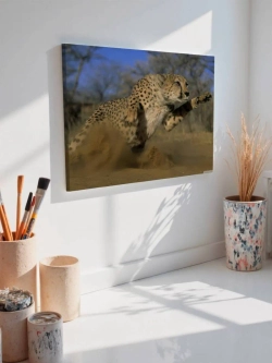 Картина на стену 40 X 50 Гепард