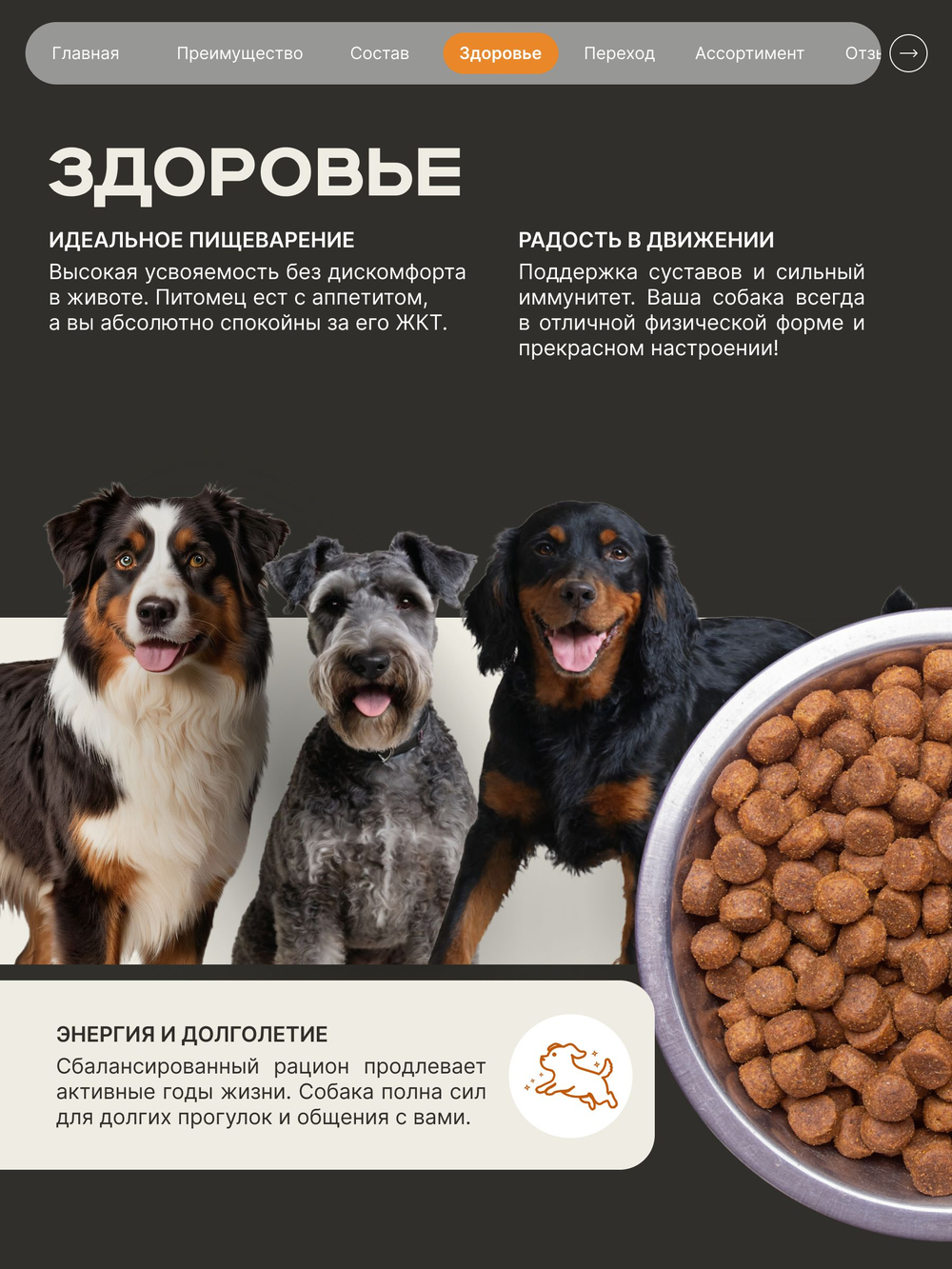 Корм сухой для взрослых собак средних пород, премиум полнорационный комплекс, забота о здоровье печени, с индейкой, 2,5 кг, QUATTRO