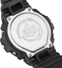Часы Casio DW-6900RL-1