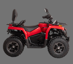 Квадроцикл Bizon YK250 LUX EFI