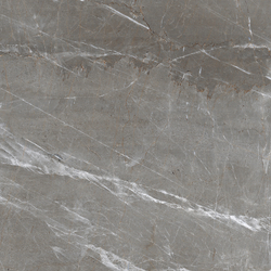 Patara Grigio Керамогранит I Серый 60x60 Полированный