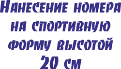 Цена нанесения номера высотой 20 см: с 1-9 цена 230 руб, с 10- 99 цена 290 руб