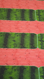 Кулир (купон). Арбузик (БРАК)