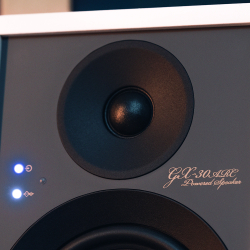 Полочная акустика Onkyo GX-30ARC