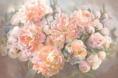 Фреска Applico, коллекция Flora