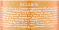 Secret Skin Тонер с экстрактом гамамелиса Witchhazel Poreless, 250 мл
