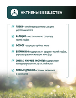 Vita+ мультивитаминное лакомство для собак Для зубов и костей, 90 таблеток