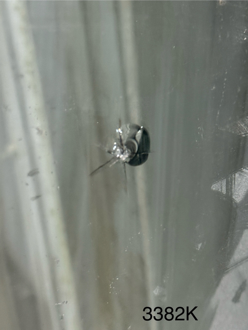 Окно Пластиковое Б/У 185(в) х 178(ш) rehau лев