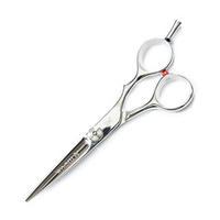 Ножницы парикмахерские для слайсинга 5.5" Washi Sable Split