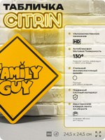 Табличка декоративная "Family Guy" из сериала Гриффины на дверь и стену, прикольная штука в подарок фанату, декоративный знак ЦИТРИН, 24,5х24,5 см, пластиковая, Айдентика Технолоджи