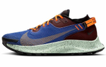 Кроссовки Nike Pegasus Trail 2 Zoom Gore-Tex