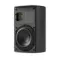 Piega Ace 30 Wireless TX Black