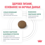 Royal Canin Satiety Weight Management Сэтайети Вейт Менеджмент Корм сухой диета для взрослых кошек для снижения веса 3,5кг