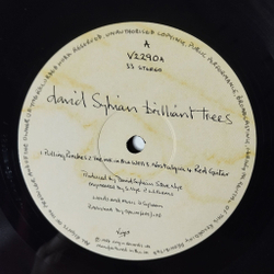 Винтажная виниловая пластинка LP David Sylvian Brilliant Trees (UK 1984)