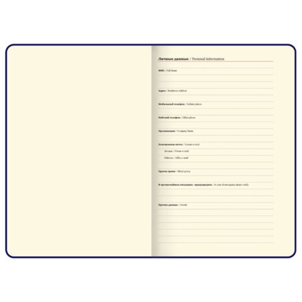 Ежедневник недатированный А5 138х213 мм BRAUBERG "Nebula", под кожу, застежка, 160 л., черный, 116235