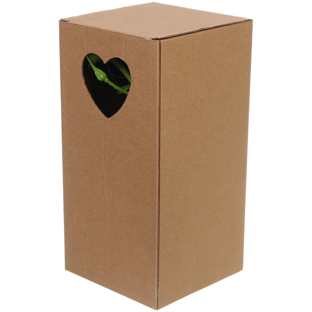 Цветочная композиция «Розовый восторг» 28см в горшке, цвет бордовый