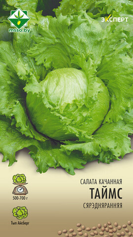 Салат кочанный "Таймс" 20шт, Нидерланды.