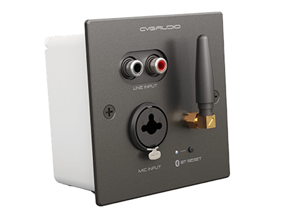 CVGAUDIO PW/EX-IN/BL универсальная настенная панель для удаленного подключения балансного микрофона MIC IN