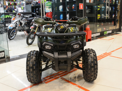 SHARK PRO 150 CC